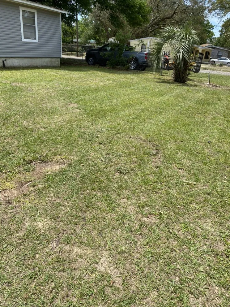 Expert residential landscaping experts serving Pensacola, FL - Quality Cuts