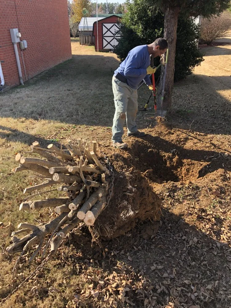 Top-rated yard maintenance experts serving Scottsboro, AL - Quality Cutters