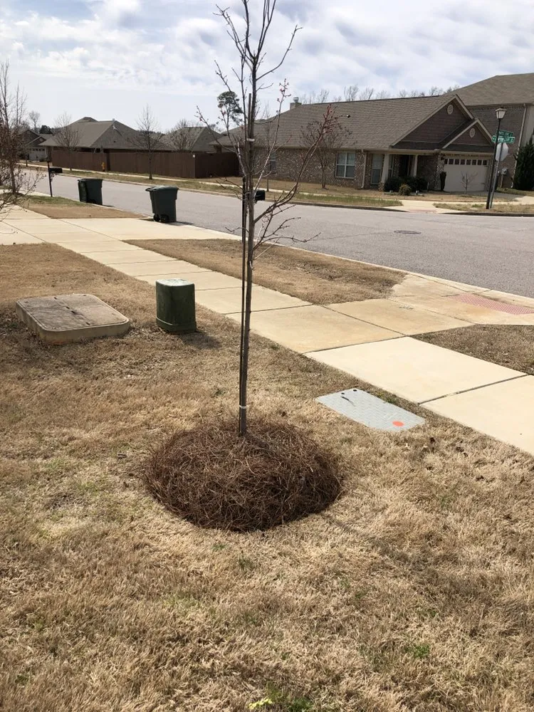 Custom landscape installation in Scottsboro, AL by Quality Cutters