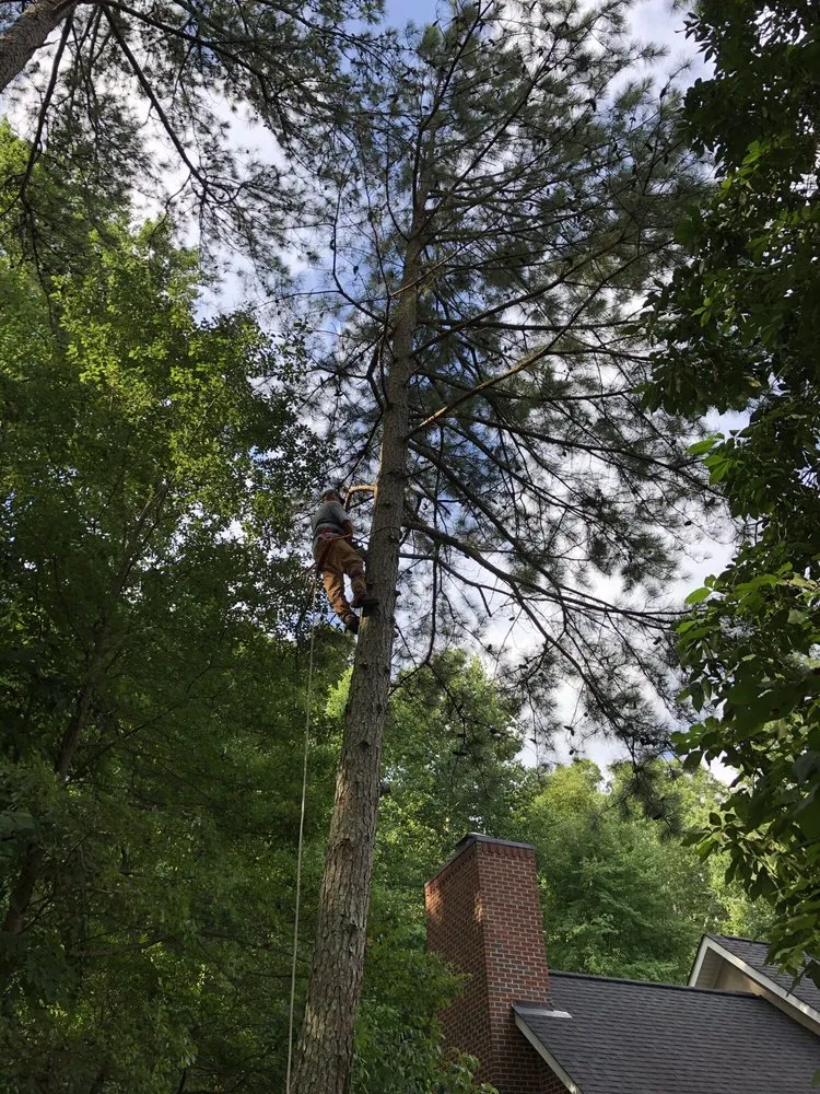 Reliable garden landscaping for outdoor upgrades across Scottsboro, AL - Quality Cutters