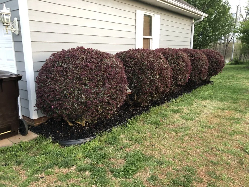 Custom yard maintenance with custom design across Scottsboro, AL - Quality Cutters