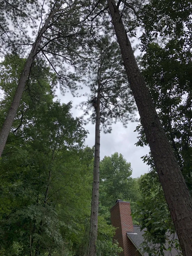 Expert residential landscaping near you across Scottsboro, AL - Quality Cutters