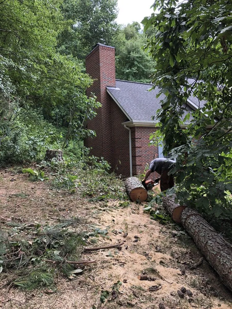 Expert lawn mowing service for beautiful yards in Scottsboro, AL by Quality Cutters