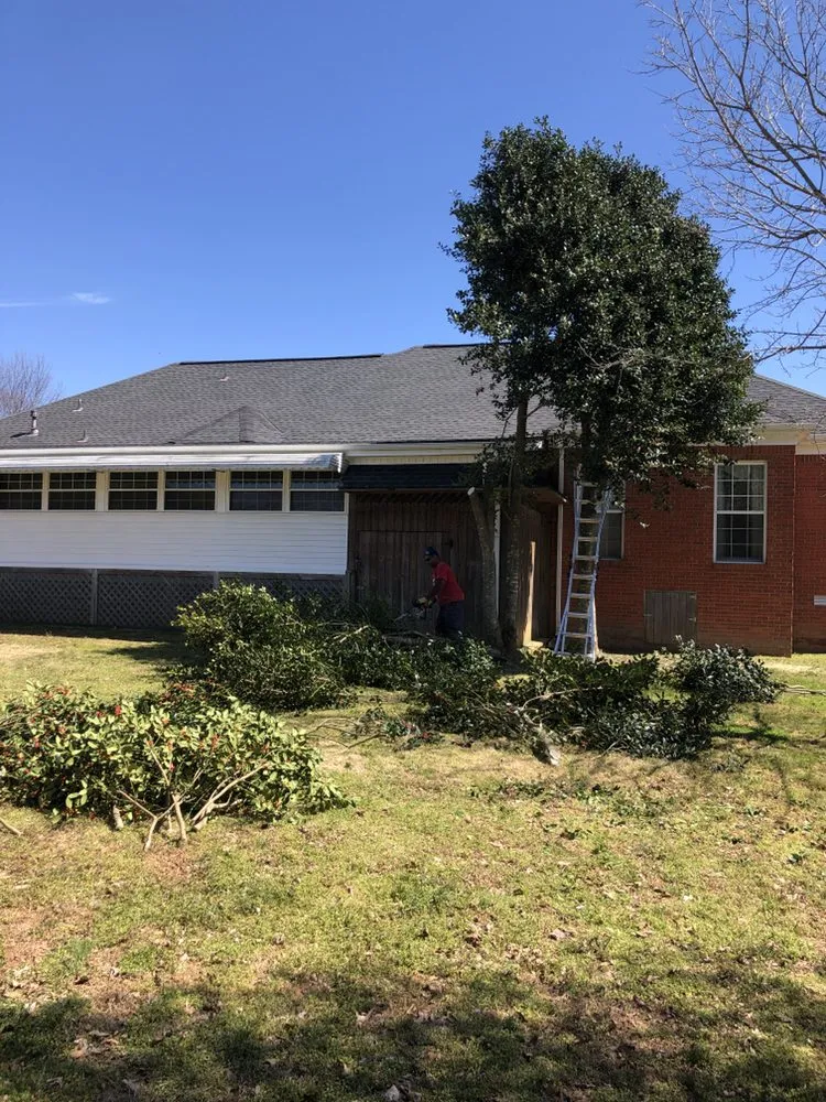 Professional yard cleanup service for beautiful yards in Scottsboro, AL by Quality Cutters