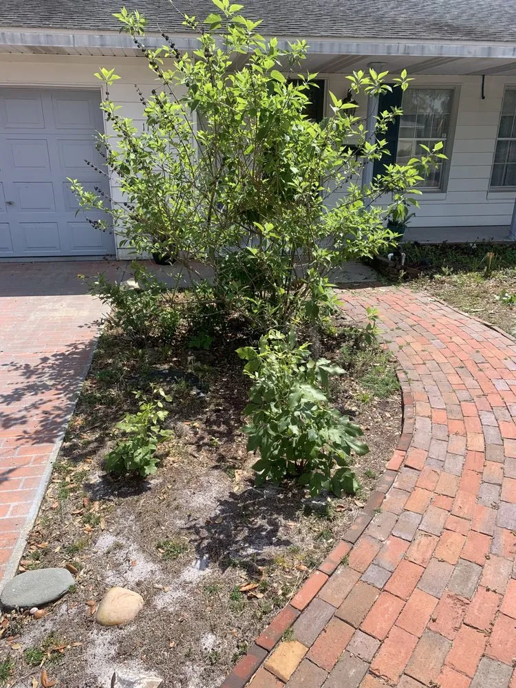 Affordable landscape design in Grand Island, FL - Quality Cutz Lawn Service