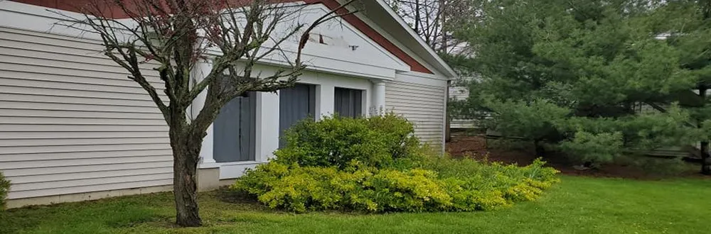 Local yard cleanup service experts serving Canton, OH - Quality Cutz Lawncare