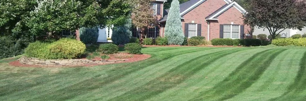 Top-rated lawn care service in Canton, OH - Quality Cutz Lawncare