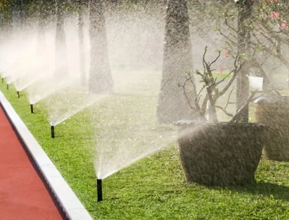 Professional residential landscaping in Bellaire, TX by Quality Design