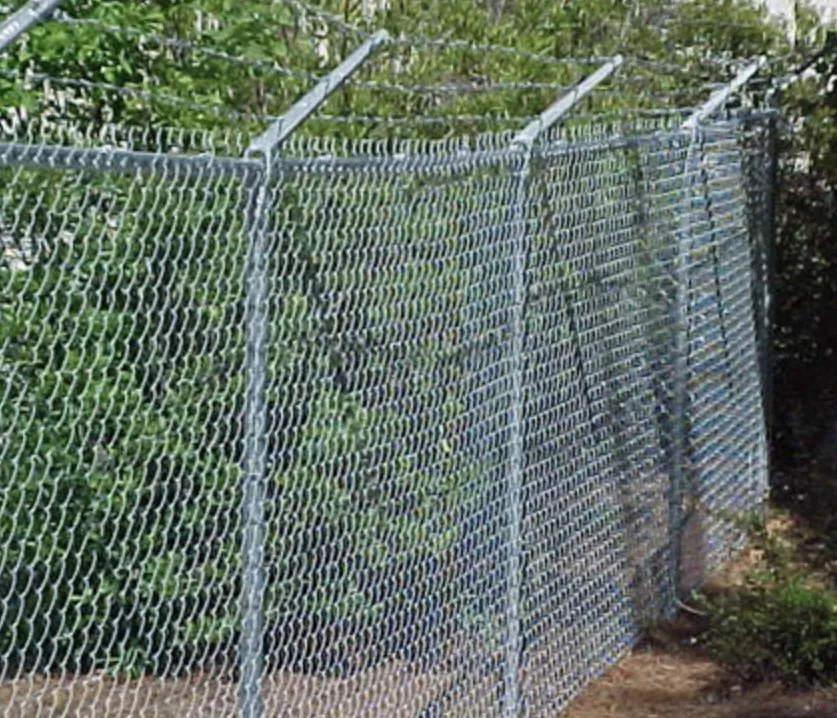 Affordable lawn care service in Mount Pleasant, SC by Quality fence and custom outdoors