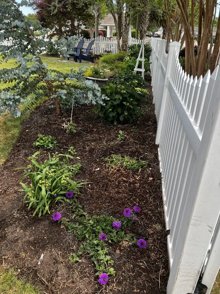 Reliable yard cleanup service experts serving Currie, NC - Quality Fence And Landscape