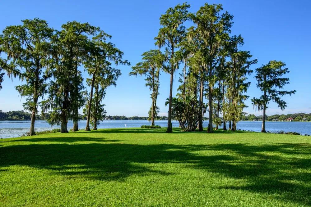 Trusted lawn mowing service in Orlando, FL - Quality First Lawn & Shrub Care