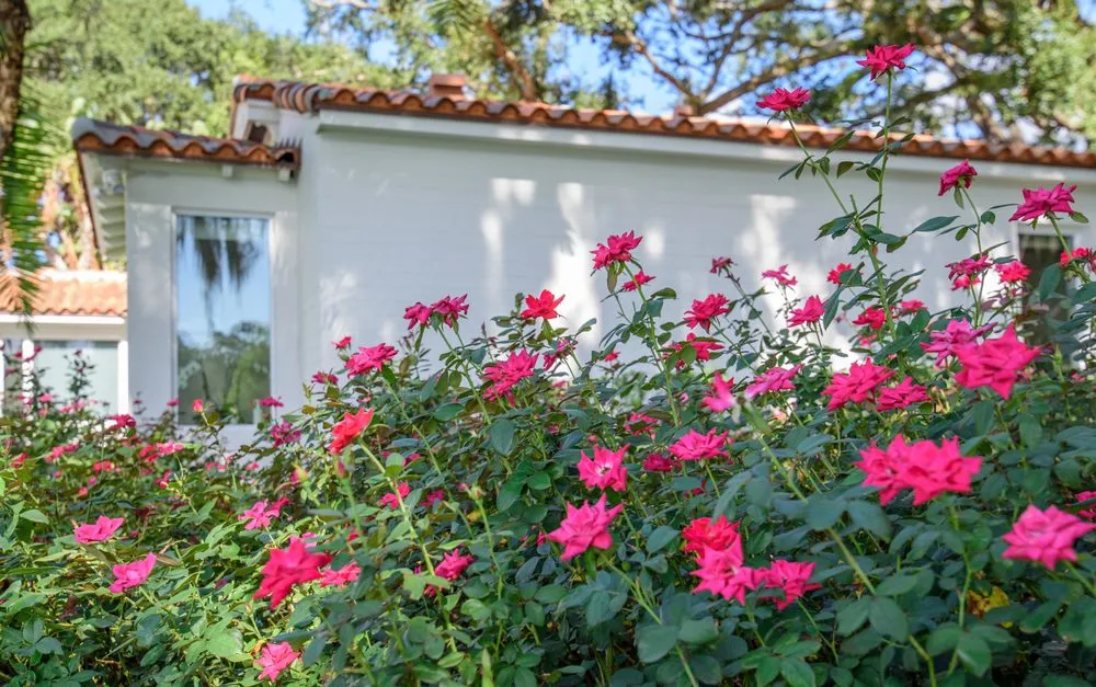 Top-rated outdoor landscaping in Orlando, FL by Quality First Lawn & Shrub Care