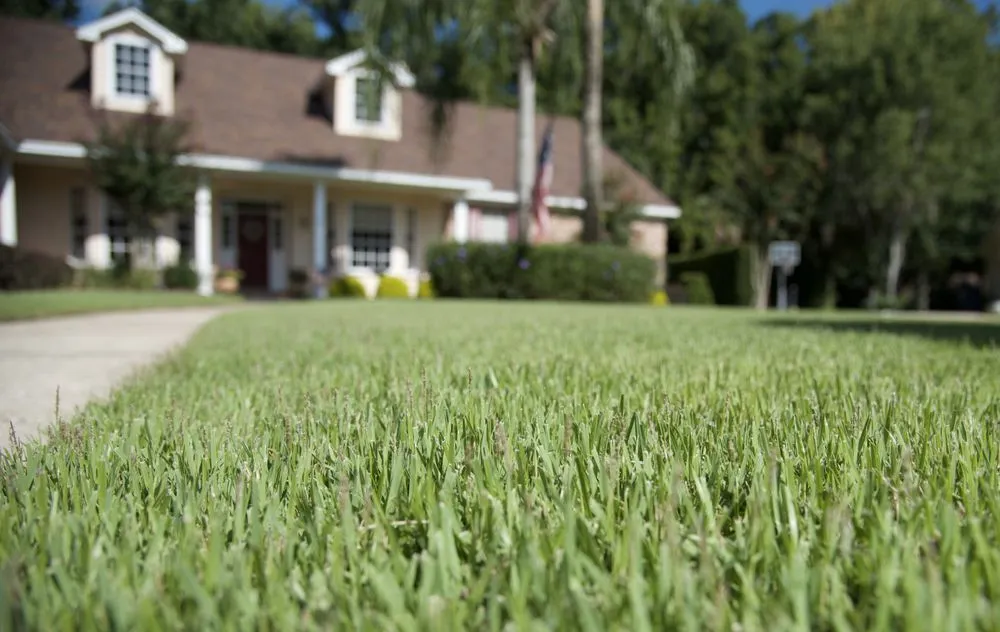 Affordable landscape installation experts serving Orlando, FL - Quality First Lawn & Shrub Care