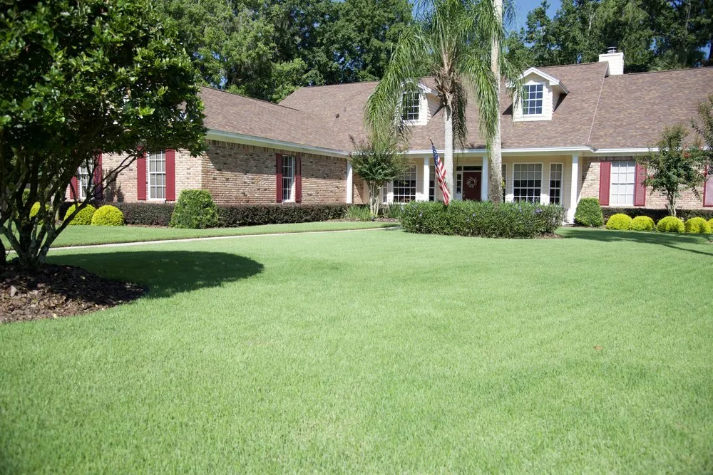 Reliable yard cleanup service in Orlando, FL by Quality First Lawn & Shrub Care