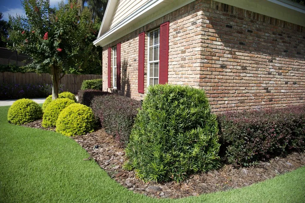 Affordable outdoor landscaping experts serving Orlando, FL - Quality First Lawn & Shrub Care