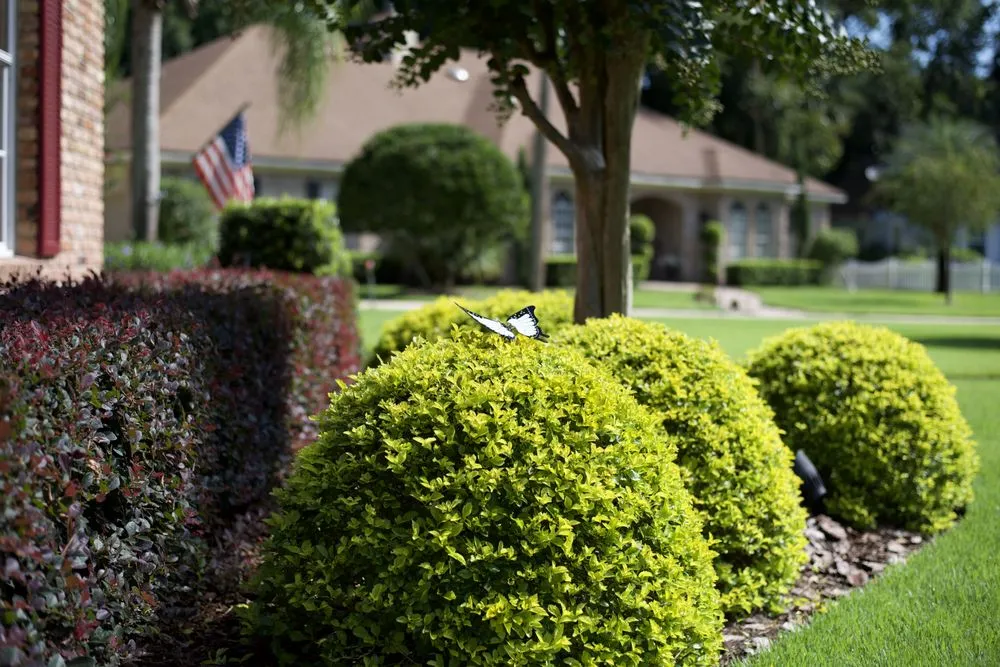 Custom landscaping services with custom design in Orlando, FL by Quality First Lawn & Shrub Care