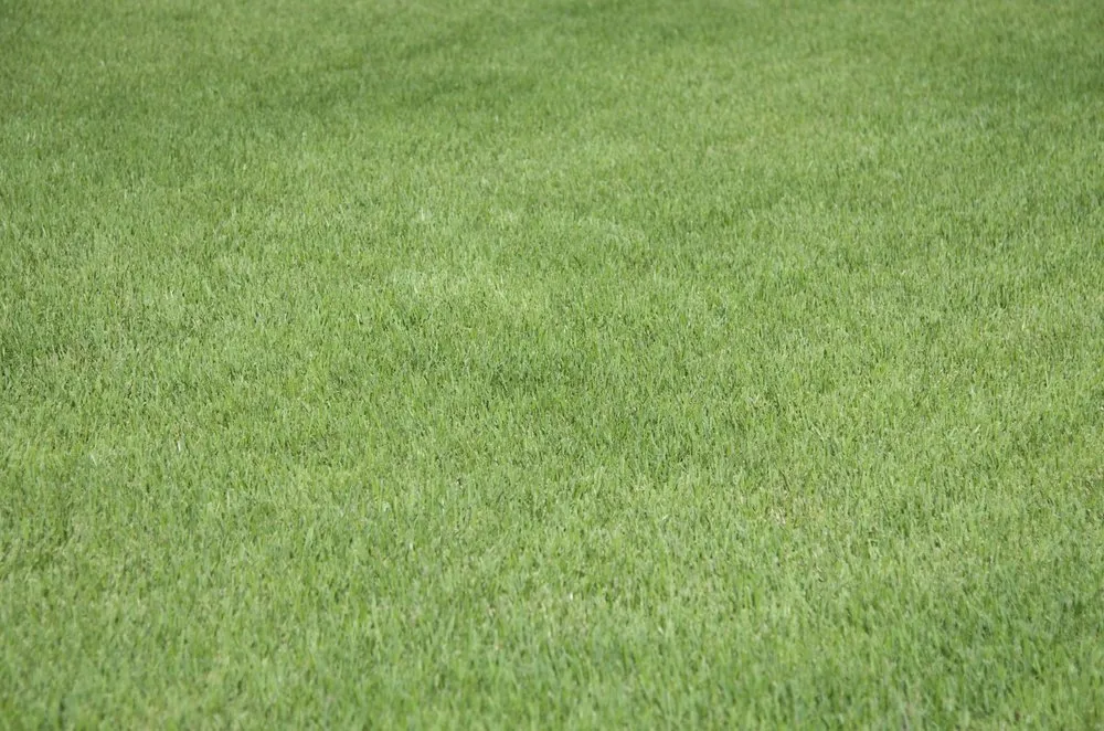 Expert landscape design for homes across Orlando, FL - Quality First Lawn & Shrub Care