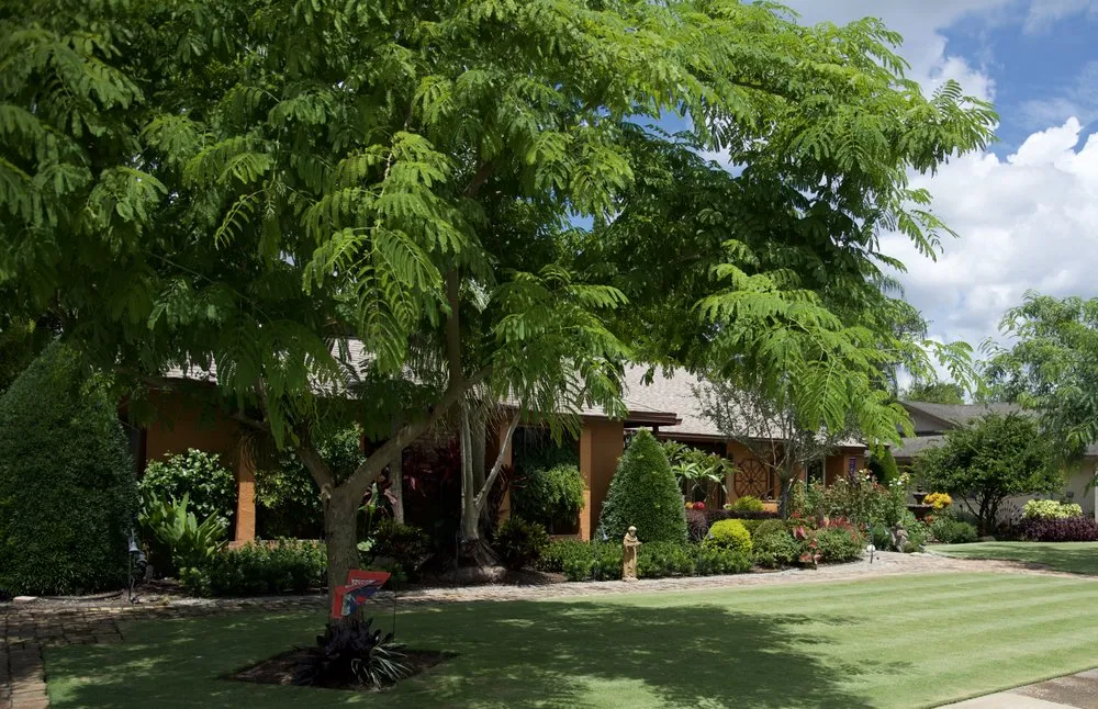 Expert lawn care service in Orlando, FL - Quality First Lawn & Shrub Care