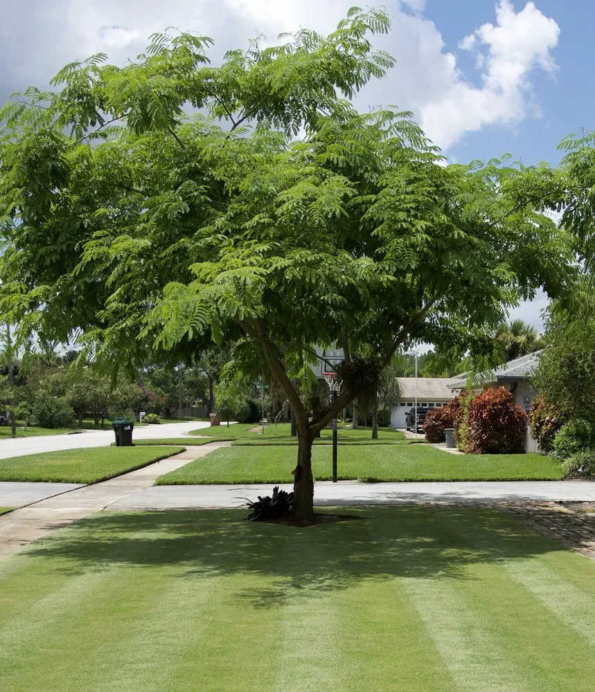 Affordable landscape design experts serving Orlando, FL - Quality First Lawn & Shrub Care