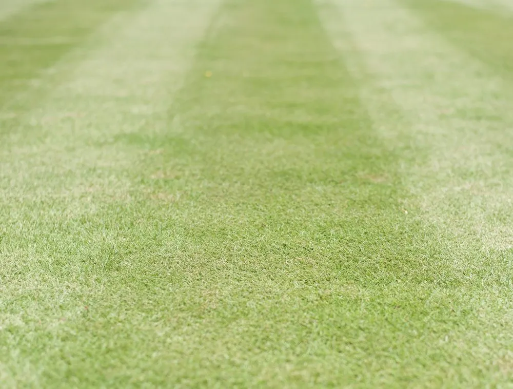 Expert landscape installation for homes across Orlando, FL - Quality First Lawn & Shrub Care