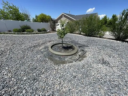 Quality first Lawn Care & Maintenance