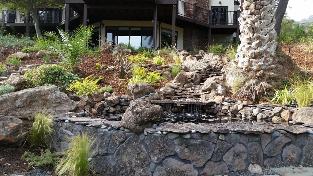 Local lawn care service for beautiful yards in Martinez, CA by Quality Gardening & Landscaping