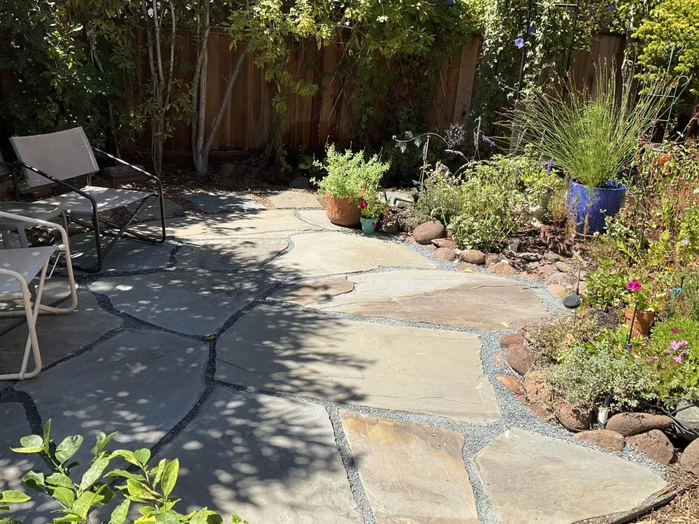 Local yard cleanup service in Martinez, CA - Quality Gardening & Landscaping