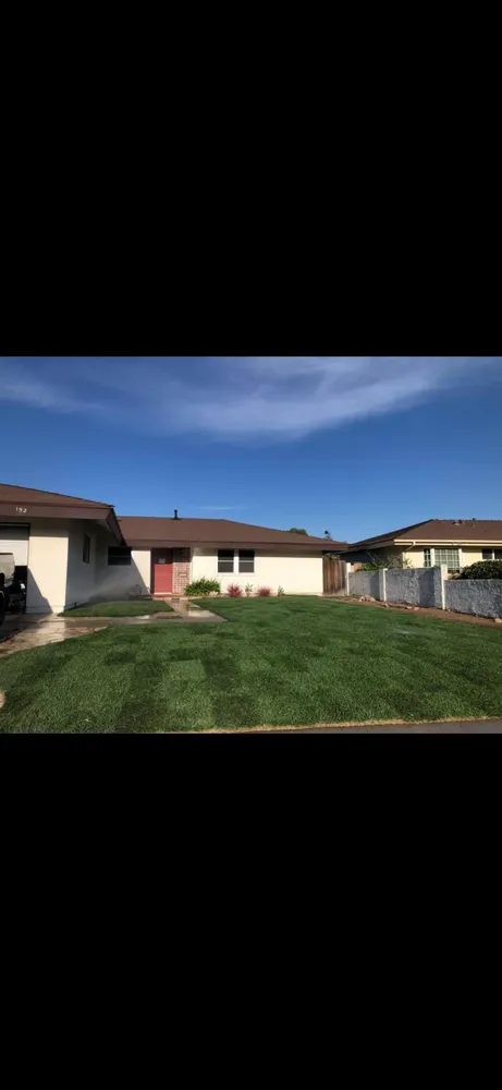 Top-rated lawn care service experts serving Ventura, CA - Quality Gardening 4 Less