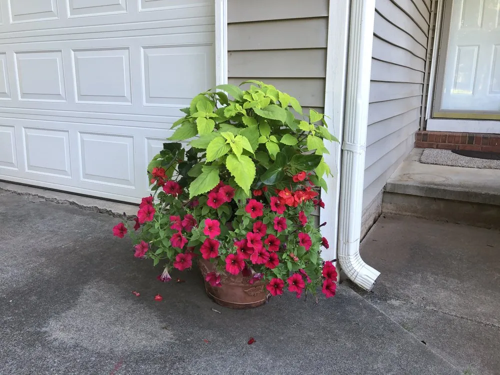 Local landscape installation experts serving Jonesboro, GA - Quality Gardens