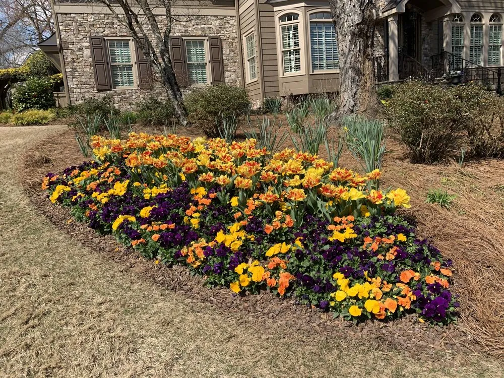 Local lawn care service experts serving Jonesboro, GA - Quality Gardens