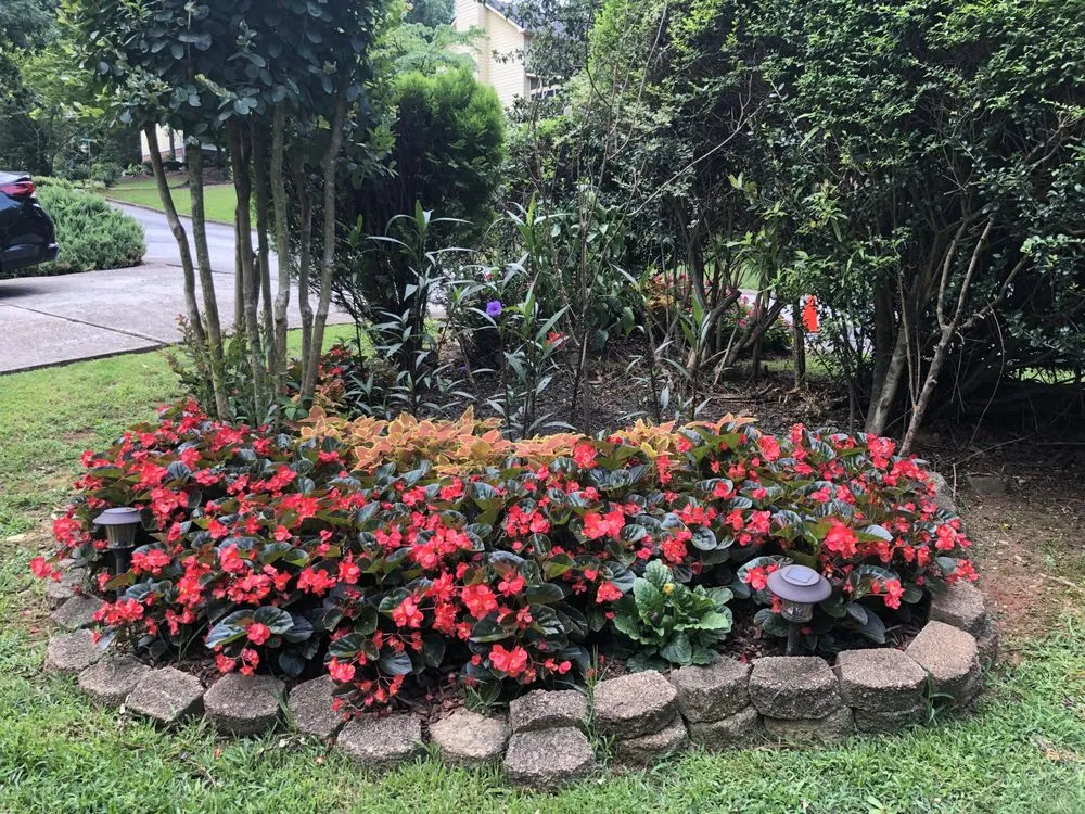 Professional residential landscaping in Jonesboro, GA by Quality Gardens