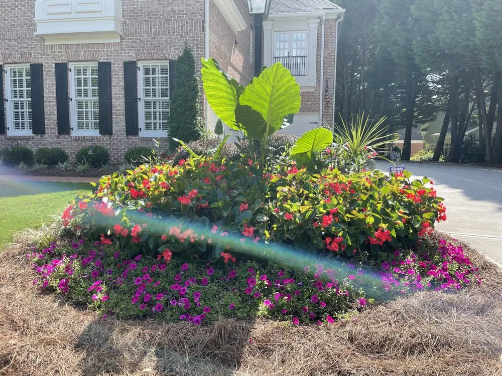 Local lawn care service in Jonesboro, GA by Quality Gardens