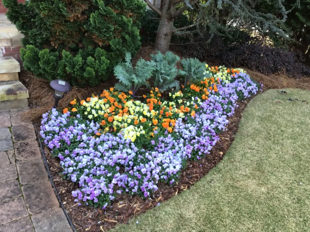 Reliable yard maintenance in Jonesboro, GA - Quality Gardens