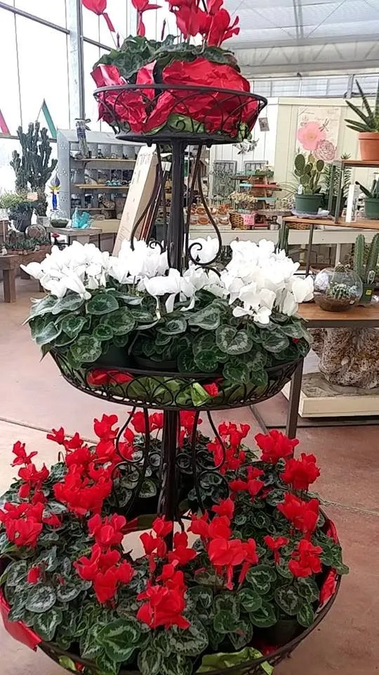 Expert yard maintenance experts serving Valencia, PA - Quality Gardens