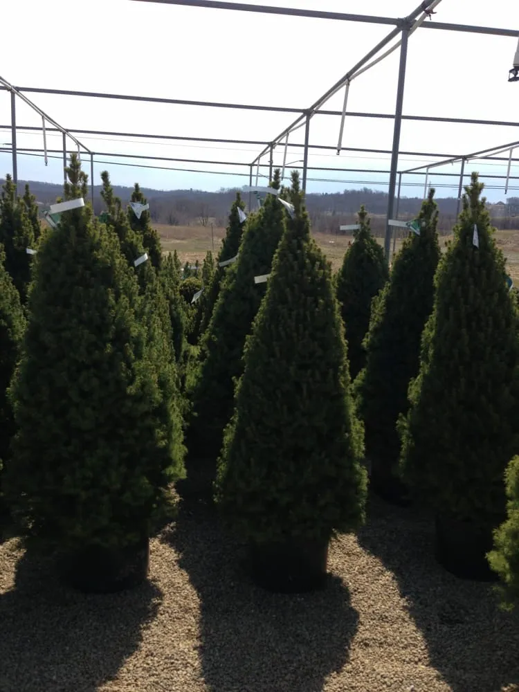 Custom lawn care service experts serving Valencia, PA - Quality Gardens