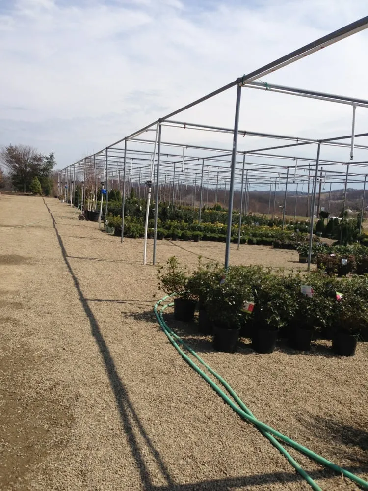 Expert lawn mowing service in Valencia, PA by Quality Gardens