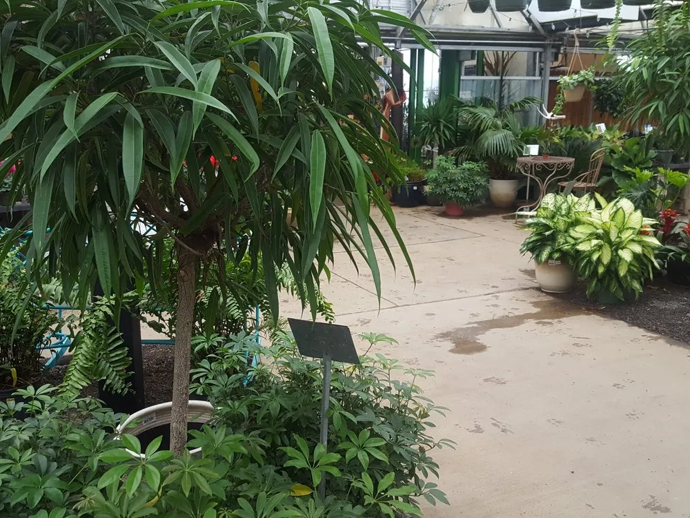 Trusted outdoor landscaping in Valencia, PA - Quality Gardens