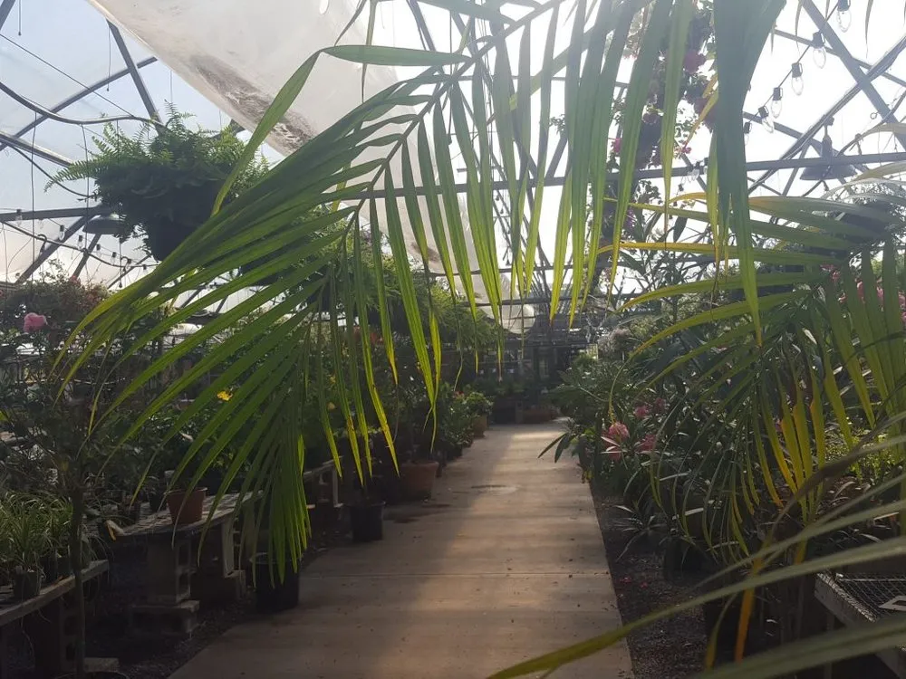 Professional outdoor landscaping experts serving Valencia, PA - Quality Gardens