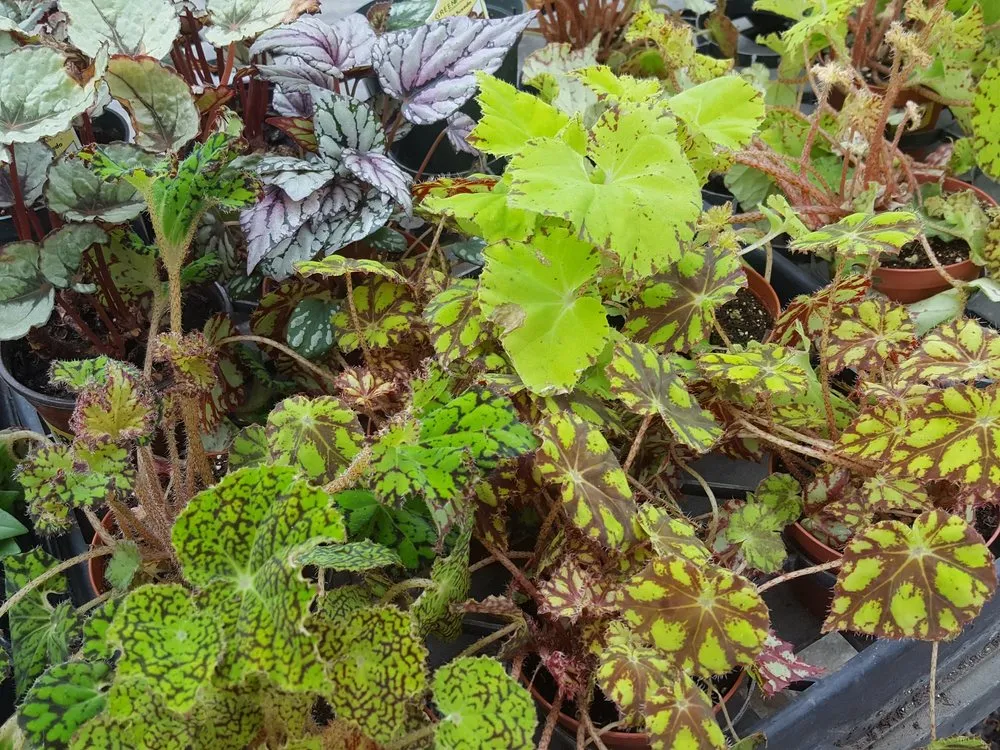 Top-rated garden landscaping for homes in Valencia, PA by Quality Gardens