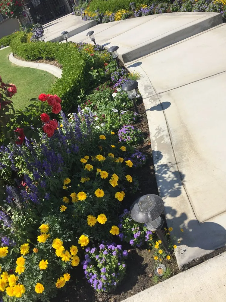Trusted landscaping services with custom design in Bakersfield, CA by Quality Garderning & Landscape Service