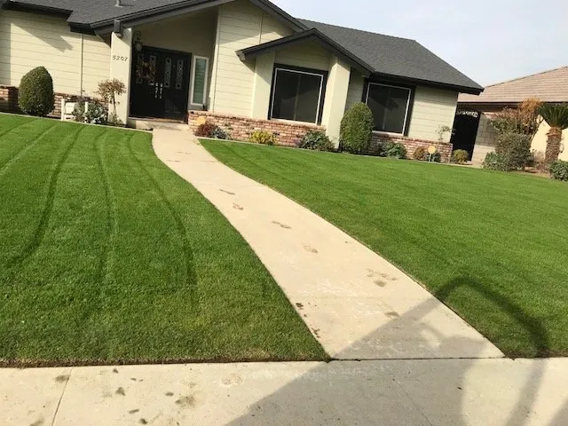 Top-rated lawn care service in Bakersfield, CA - Quality Garderning & Landscape Service