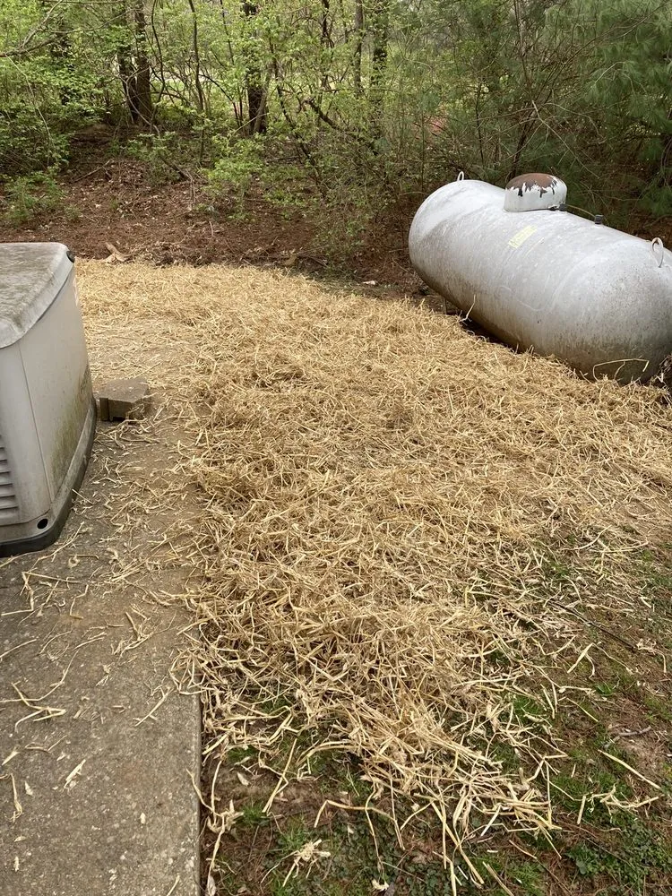 Reliable landscape installation for year-round maintenance in Louisville, KY by Quality Grading