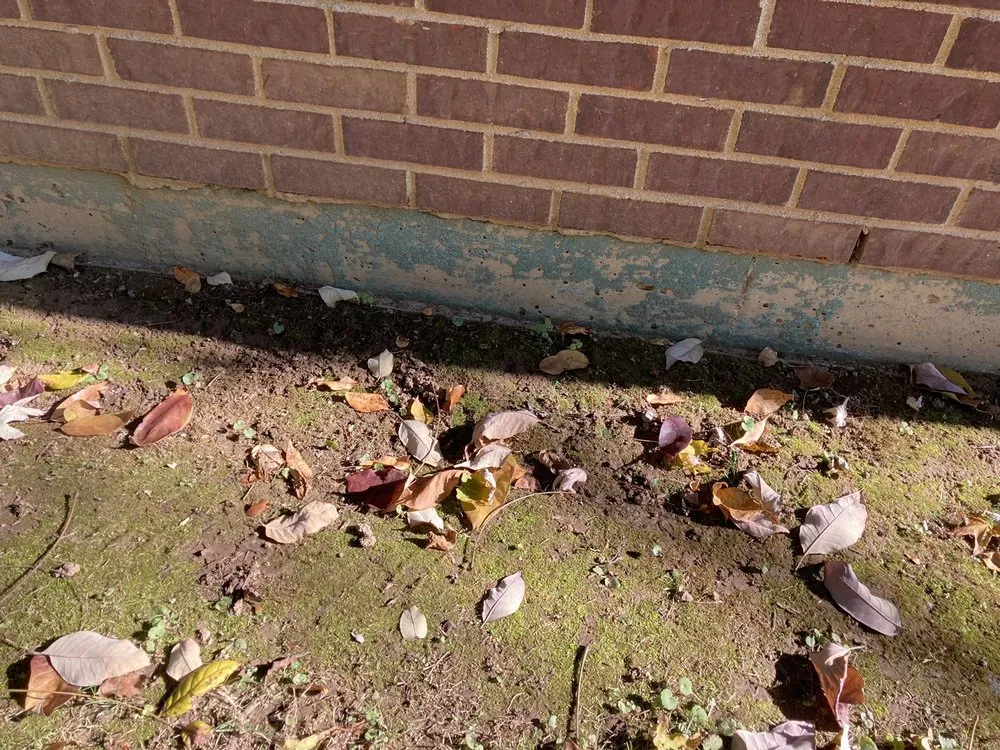 Professional landscape installation for residential properties across Louisville, KY - Quality Grading