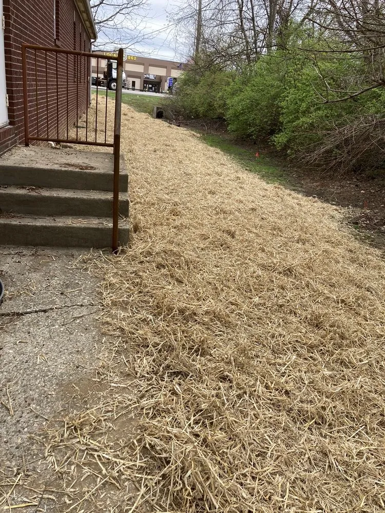 Affordable yard cleanup service in Louisville, KY - Quality Grading
