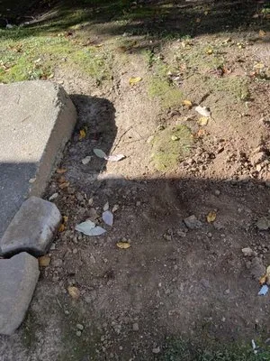 Quality Grading Logo