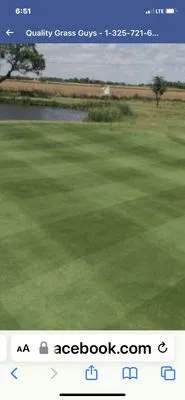 Quality Grass Guys