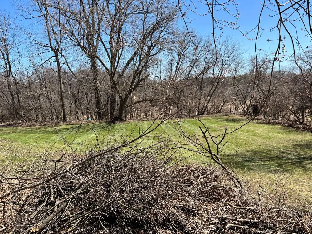 Expert yard maintenance experts serving Jackson, MI - Quality Grass