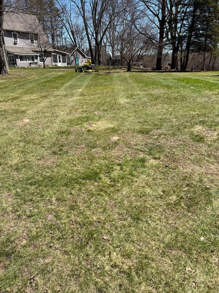 Reliable outdoor landscaping in Jackson, MI - Quality Grass