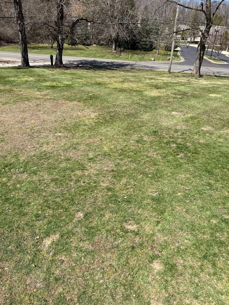 Expert residential landscaping in Jackson, MI by Quality Grass