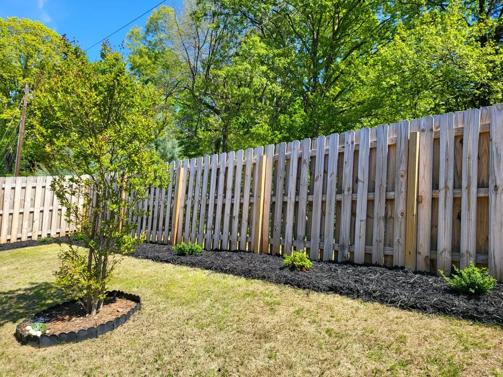 Expert yard cleanup service experts serving Indian Trail, NC - Quality Green Grass